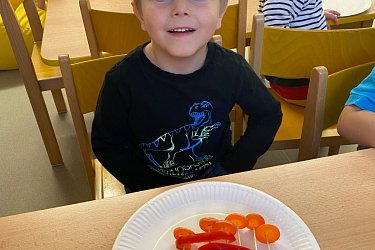 Obrázek č.11